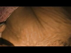 סרט סקס מצלמות צט צעיר עם אמנדה בורחס הלוהטת מ-Adult Prime